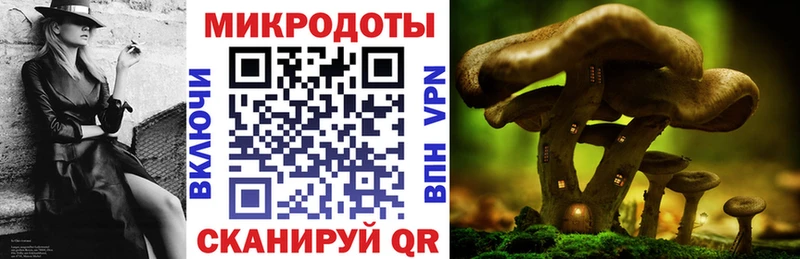 Псилоцибиновые грибы Psilocybine cubensis  Богородск 