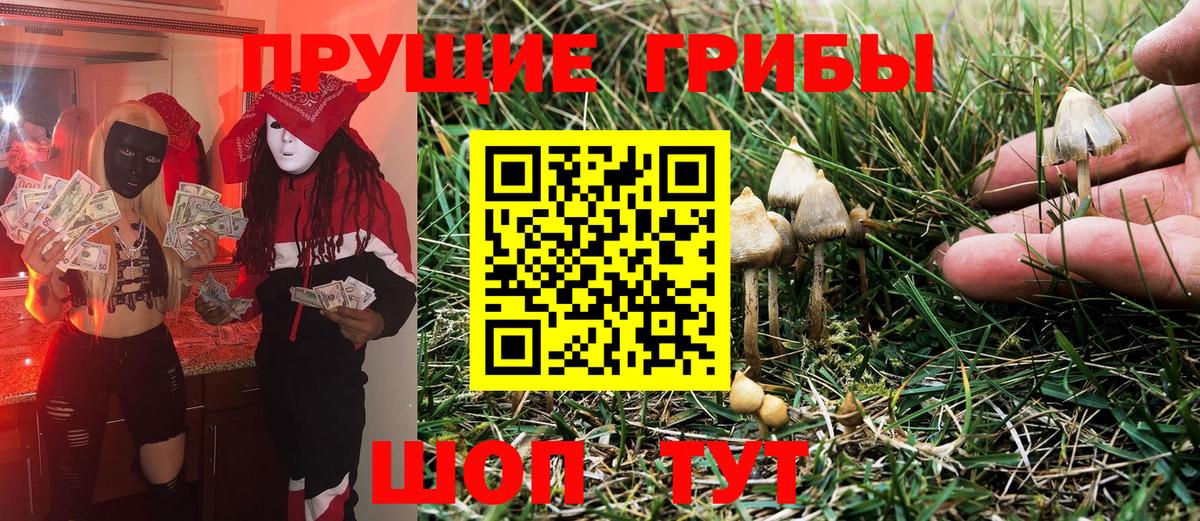 Псилоцибиновые грибы Psilocybe  магазин  наркотиков  Богородск  Вход с VPN 